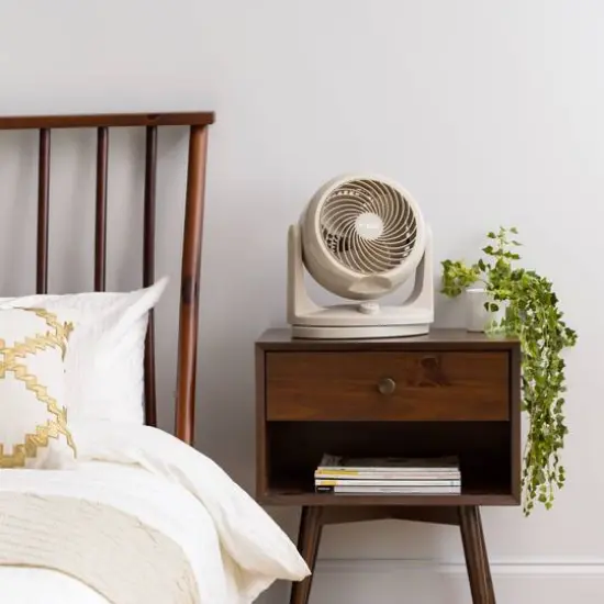 Iris&reg; 12.25" Latte Fan {3}