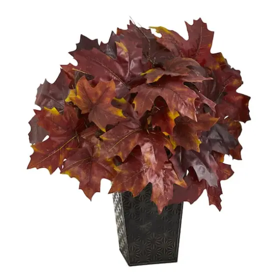 18" Burgundy Autumn Maple Leaf Plant in Embossed Black Planter {1}