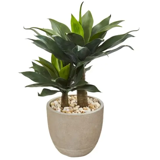 3ft. Double Agave Succulent in Sand Stone Planter {3}