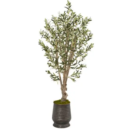 5ft. Olive Tree in Ribbed Metal Planter {1}