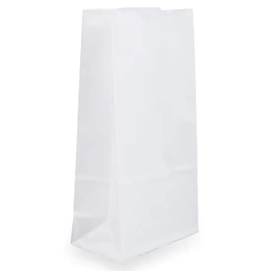 JAM Paper White Small Plus Kraft Lunch Bags, 500ct. {1}