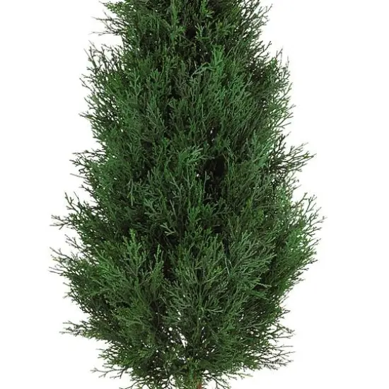 5ft. Potted Cypress Ball & Cone Tree {4}