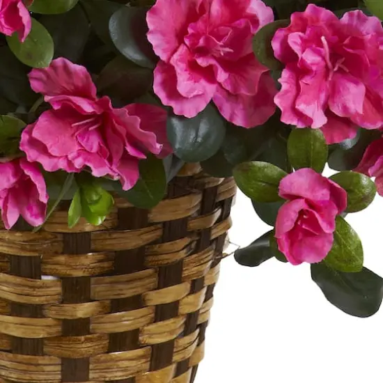 2.5ft. Pink Azalea Flowering Hanging Basket {4}