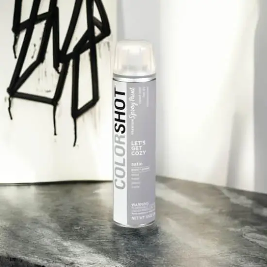 COLORSHOT&reg; Premium Satin Spray Paint Let's Get Cozy {1}