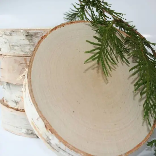 Wilson&reg; Enterprises 11" Thick Birch Rounds, 4ct. {7}