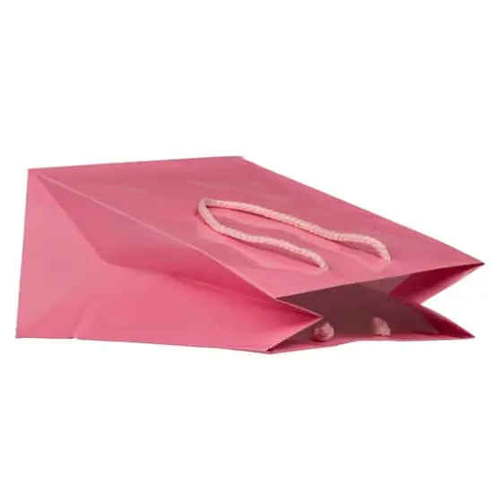 JAM Paper Medium Glossy Gift Bags, 6ct. Pink {6}