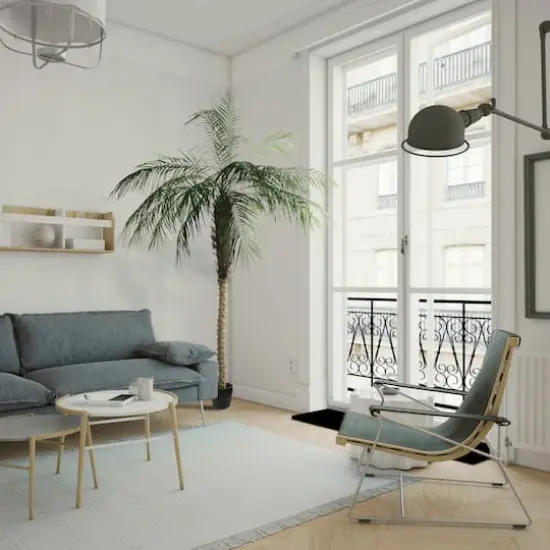 9ft. Potted Phoenix Palm Tree {3}