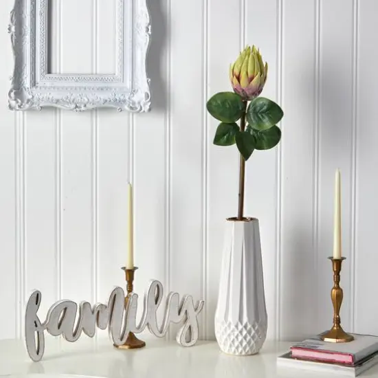 Green King Protea Stem, 4ct. {4}