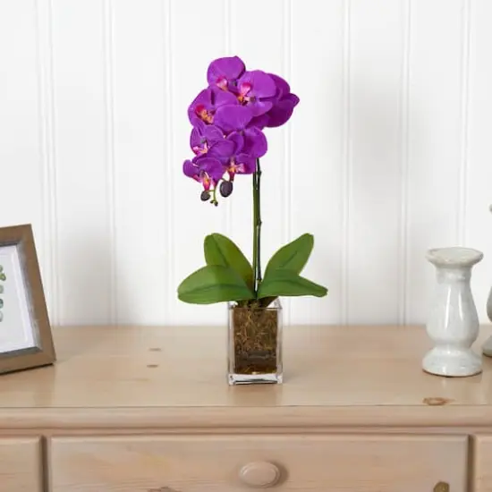 24" Purple Moth Orchid Arrangement in Vase {4}