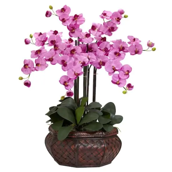 2.5ft. Moth Orchid Silk Flower Arrangement in Woven Planter Mauve {1}