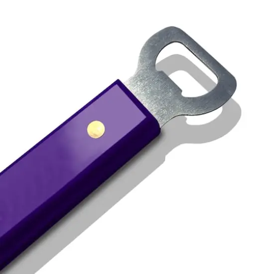 College Team Barbecue Set Washington Huskies {6}