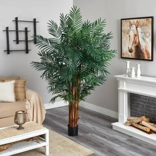 7ft. Potted Areca Palm Tree  {4}