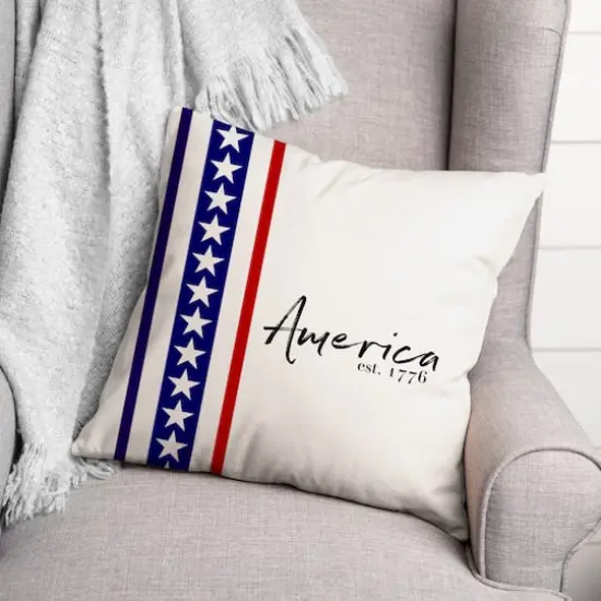 Established 1776 Throw Pillow {3}