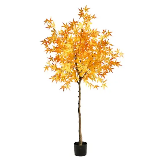 6ft. Potted Yellow Autumn Maple Tree {1}