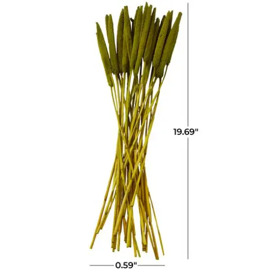Dried Plant Bunny Tail Natural Foliage with Long Stems Assorted {6}