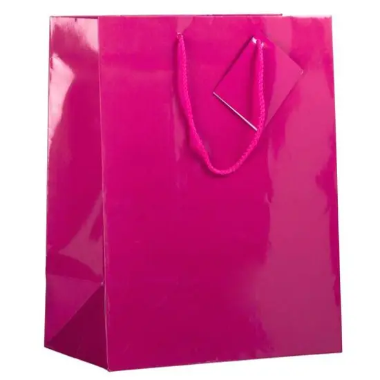 JAM Paper Large Glossy Gift Bags with Rope Handles, 3ct. Hot Pink {1}