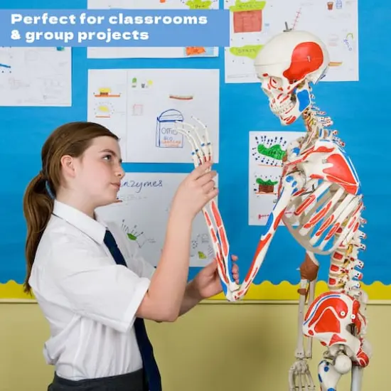 ArtSkills&reg; 11" x 14" Heavyweight Acid Free White Poster Boards, 12ct. {4}