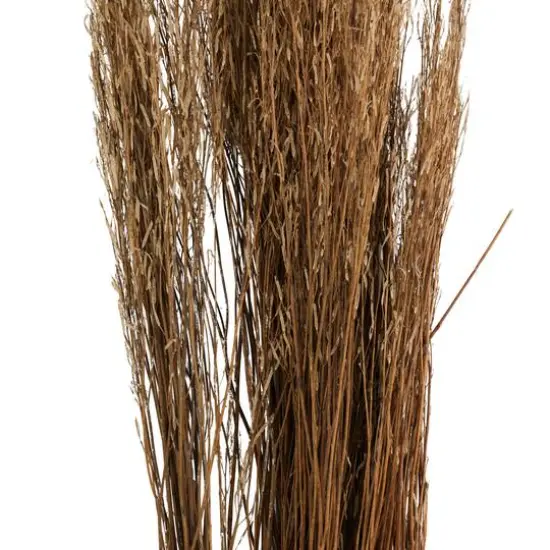 42" Brown Dried Natural Mustard Plant Foliage {6}