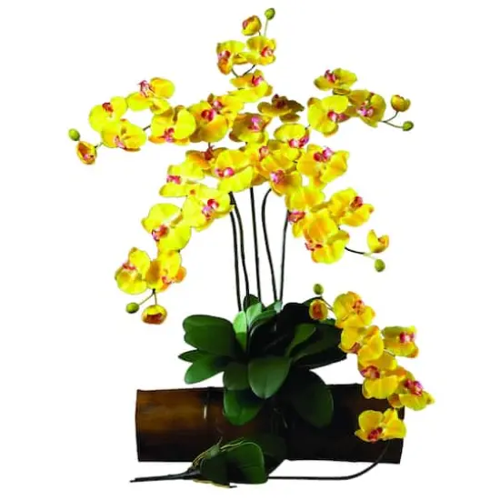 Yellow Moth Orchid Stem, 6ct. {3}