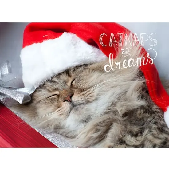 JAM Paper Season's Greetings Holiday Cat Assortment Cards Set, 25ct. {5}