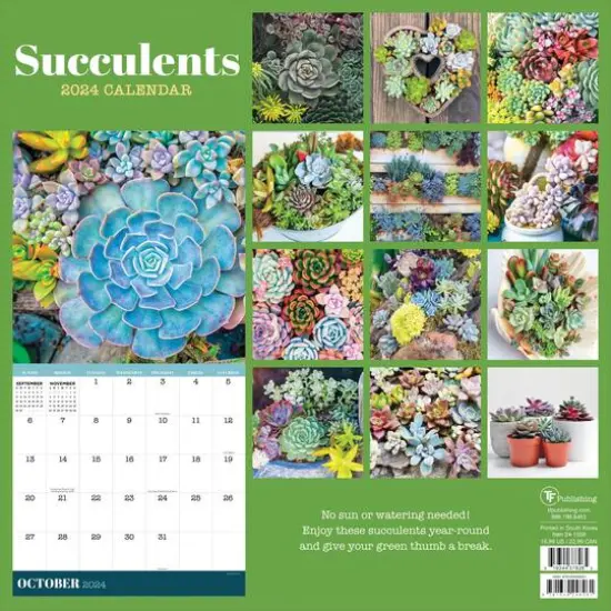 TF Publishing 2024 Succulents Wall Calendar {3}