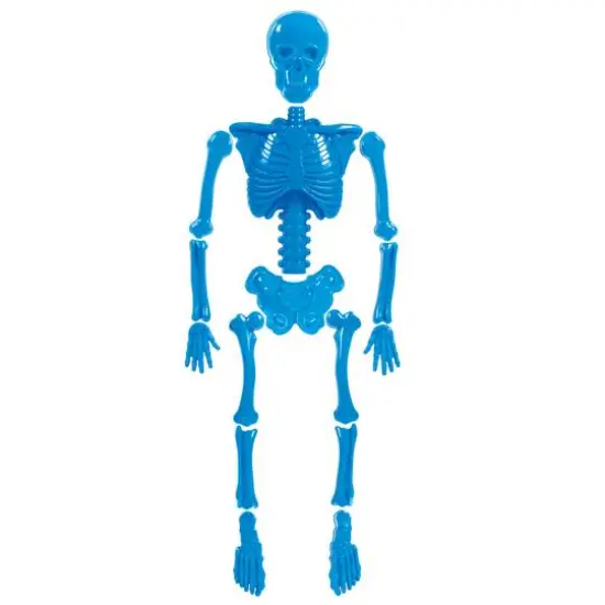 Toysmith&reg; Bag O' Beach Bones Sand Molds {3}