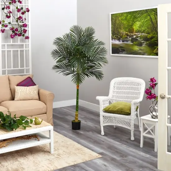 6ft. Potted Golden Cane Palm Tree {5}