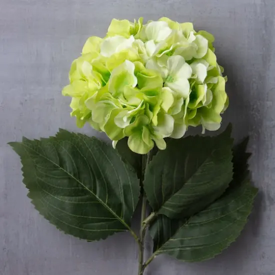 Garden Blooms Hydrangea Stem by Ashland&reg; Green {3}