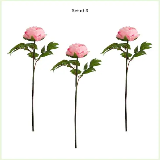20" Pink Peony Flower Stems, 3ct. {4}