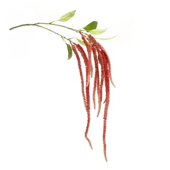 53.25" Red Amaranthus Floral Stems, 4ct. {4}