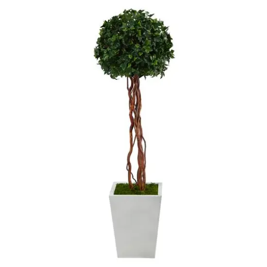 4ft. English Ivy Single Ball Topiary in White Metal Planter {1}
