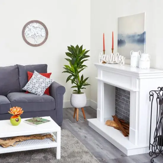 4ft. Dracaena Plant in White Planter with Stand {4}