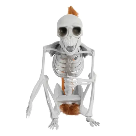 11" Skeleton Monkey by Ashland&reg; {3}