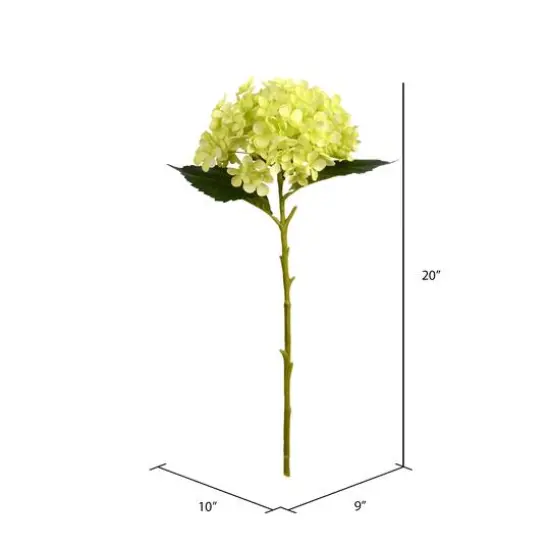 3 Pack: Green Hydrangea Stem {3}