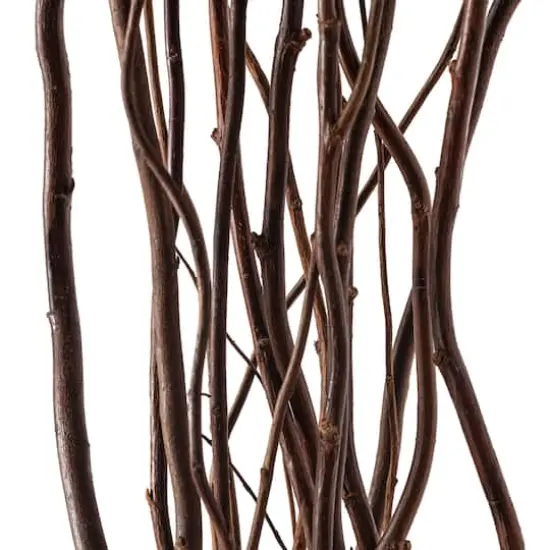 Natural Tall Curly Willow by Ashland&reg; {3}