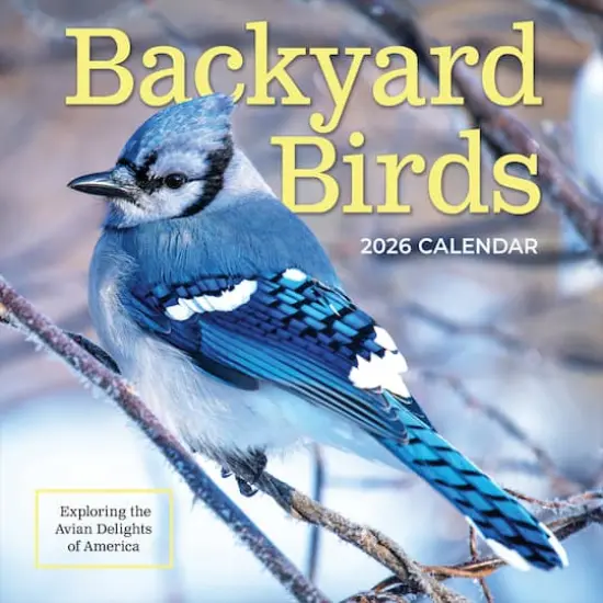 2026 Backyard Birds Wall Calendar {1}