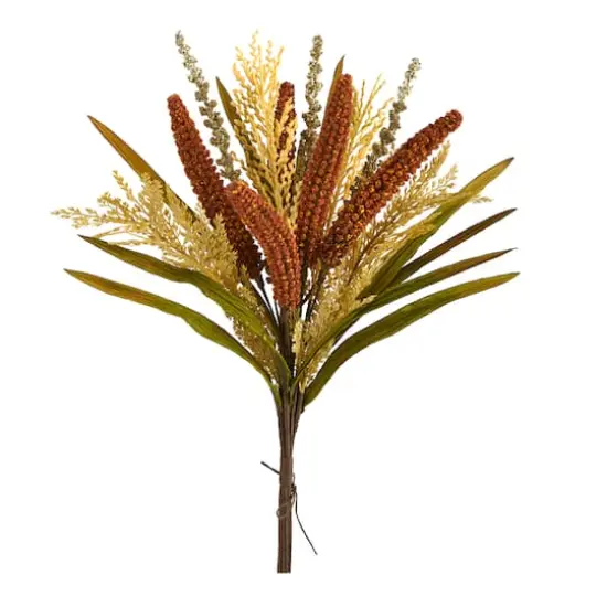 Assorted Sorghum Harvest Bush, 3ct. {1}