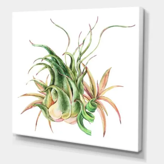 Designart - Tropical Leaves Air Plant Succulent - Farmhouse Canvas Wall Art Print {1}