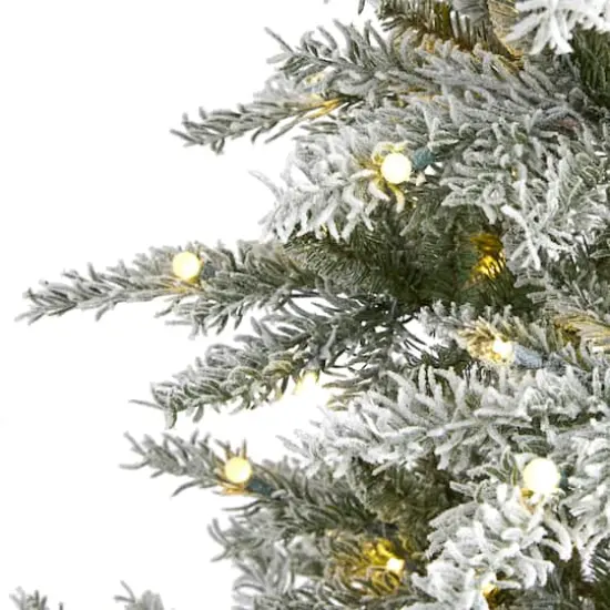 6.5ft. Pre-Lit Nova Scotia Spruce Artificial Christmas Tree, Warm White LED Lights {4}