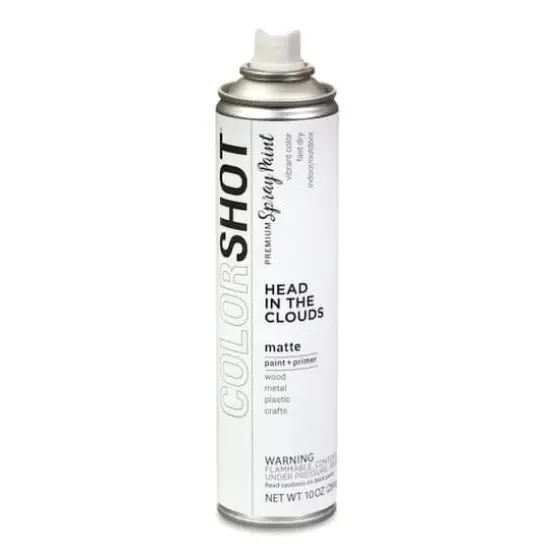COLORSHOT&reg; Head In the Clouds Matte Spray Paint {4}