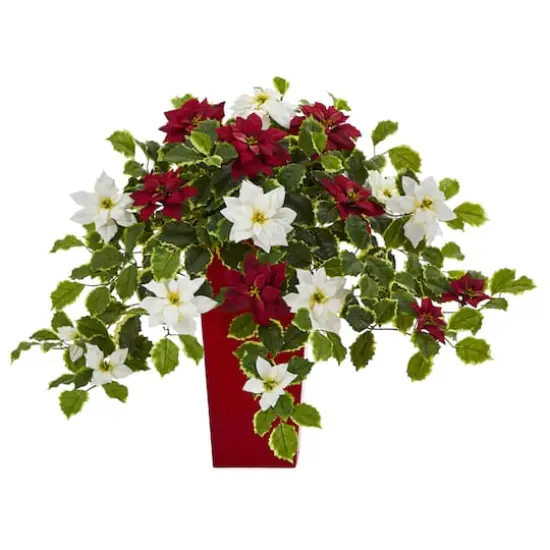 23&rdquo; Poinsettia & Variegated Holly Artificial Plant in Red Decorative Planter {1}