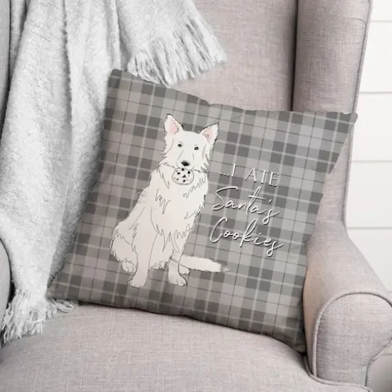 I Ate Santa's Cookies 18x18 Throw Pillow {3}