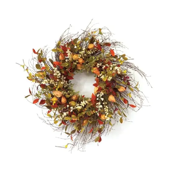 20" Cape Gooseberry Wreath {1}