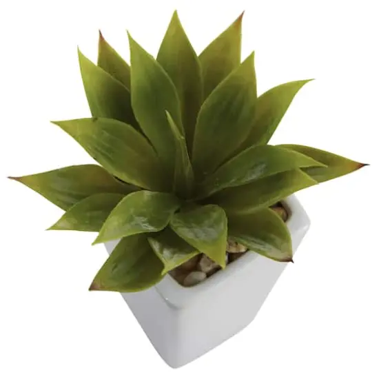 9" Mini Agave Arrangement in White Planter, 3ct. {4}