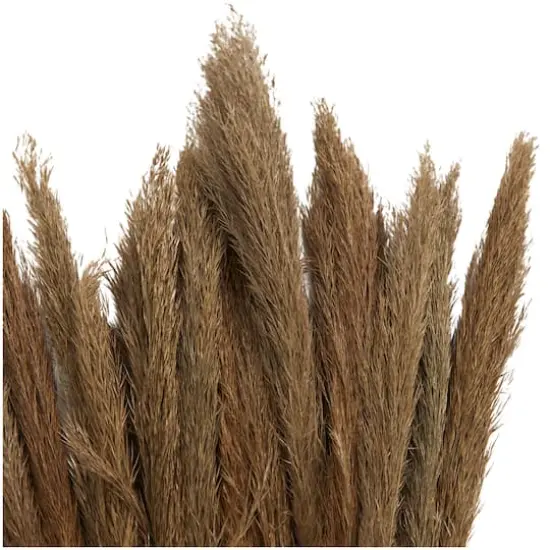 Dried Plant Bamboo Natural Foliage with Long Stems Brown {5}