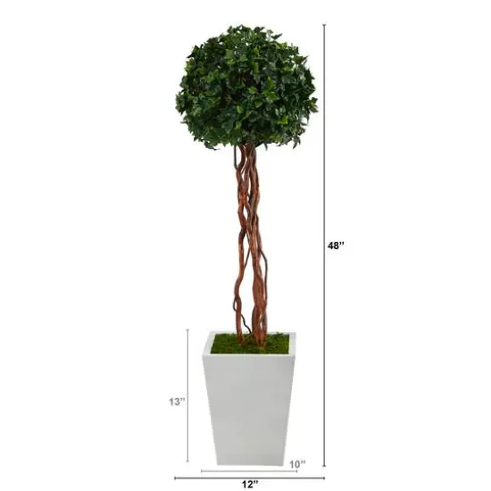 4ft. English Ivy Single Ball Topiary in White Metal Planter {3}