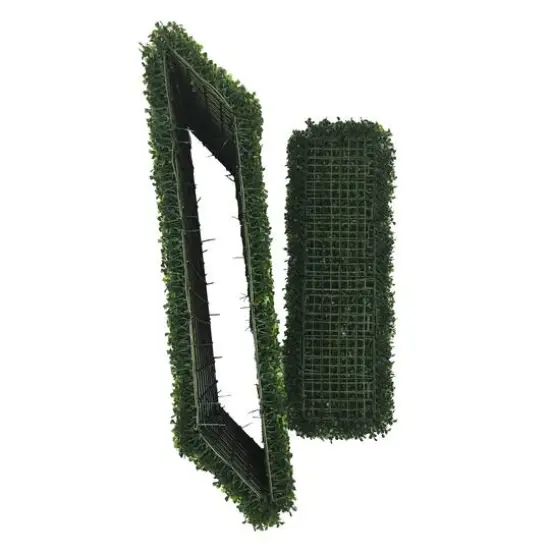 2ft. Boxwood Hedge {6}