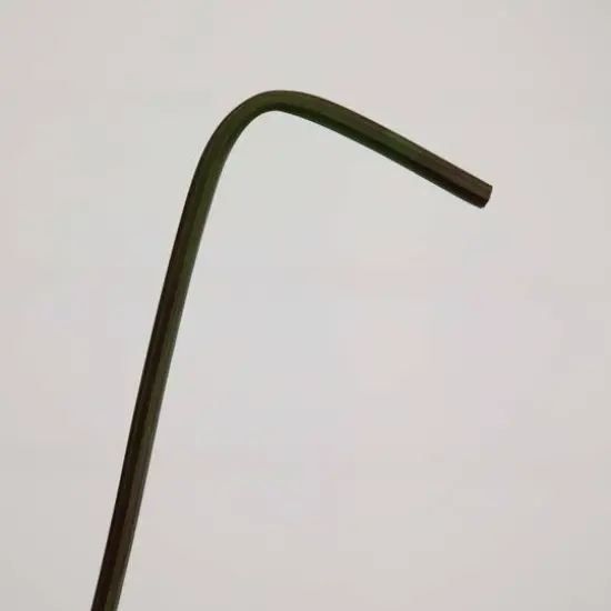 20" Red Peony Flower Stems, 3ct. {6}