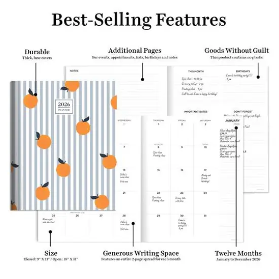 2026 Seriously Citrus Large Monthly Planner {6}