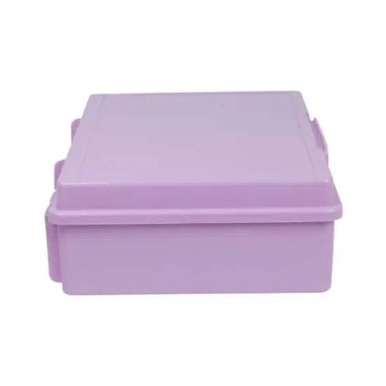Everything Mary Purple 16 Case 4" x 6" Photo Storage Box {8}
